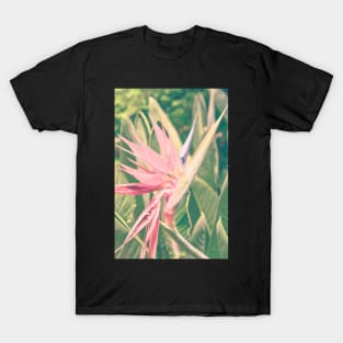 Bird of Paradise ll T-Shirt